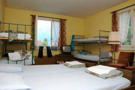 Funny Farm Backpackers Hostel Unterseen Bagian luar foto