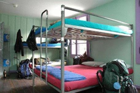 Funny Farm Backpackers Hostel Unterseen Bagian luar foto